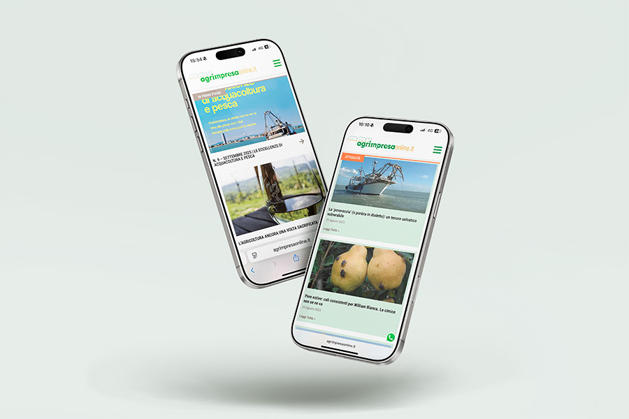 Magazine, Sito Responsive